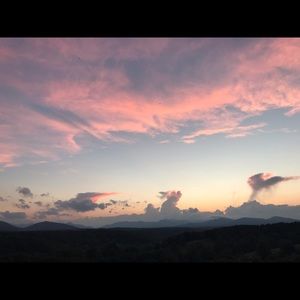 Meet your Posher, Callie